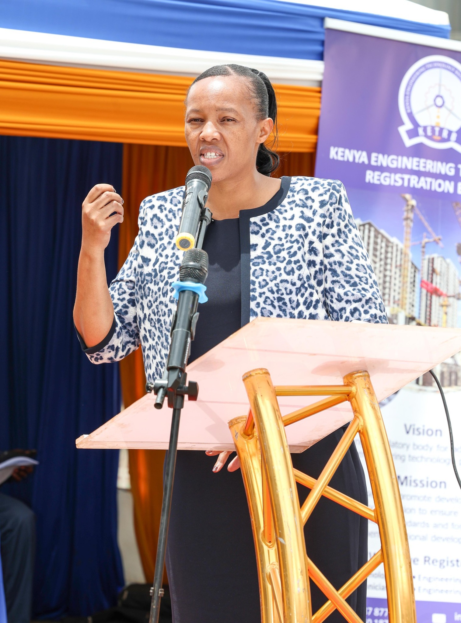 KETRB CEO giving speech