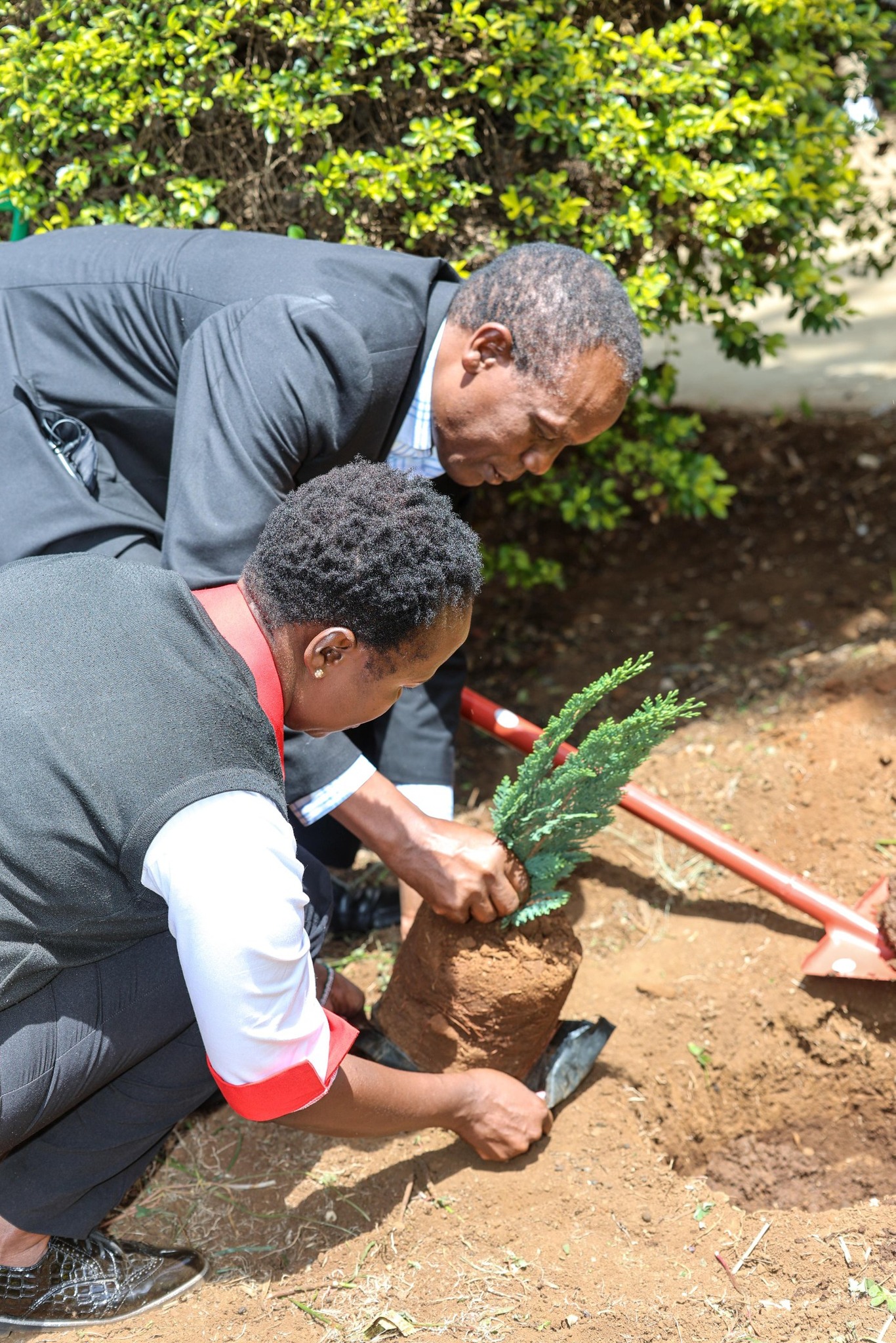 KETRB planting a tree